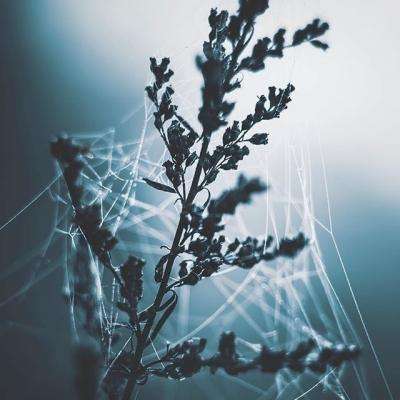 乐发大众彩票app下载安装