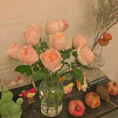 开元ky888vipapp下载