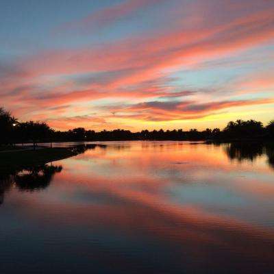 开云电竞下载手机版截图