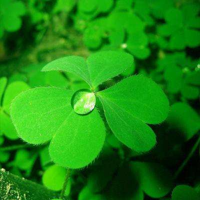 爱游戏ayx手机版登录入口