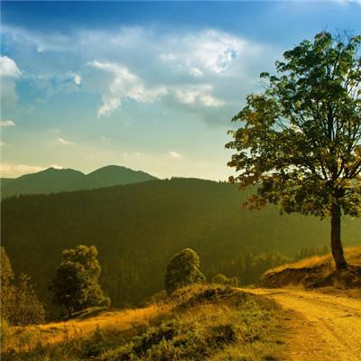 开云电竞下载手机版截图